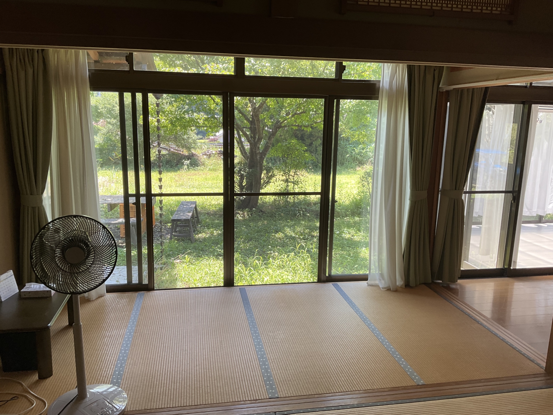 ちょっとだけ涼しげ、ほどよい木陰