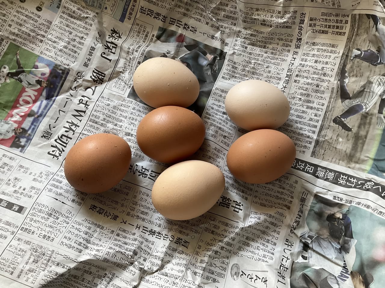 「どうもない」保養